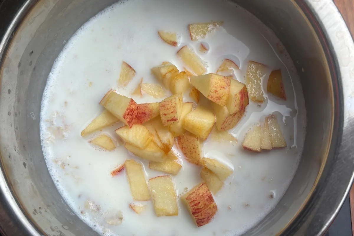 Apple Cinnamon Oatmeal