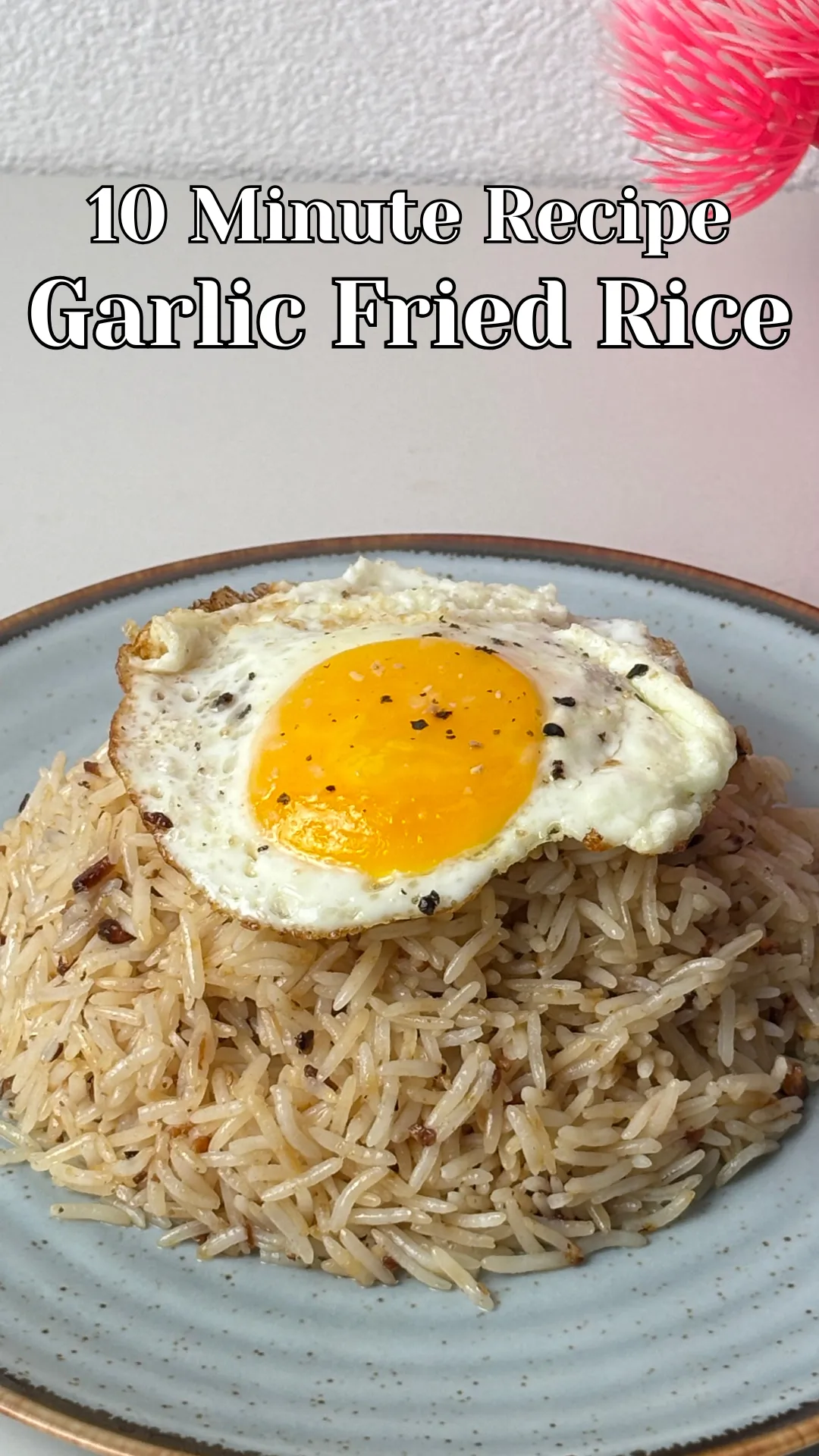 Garlic Fried Rice