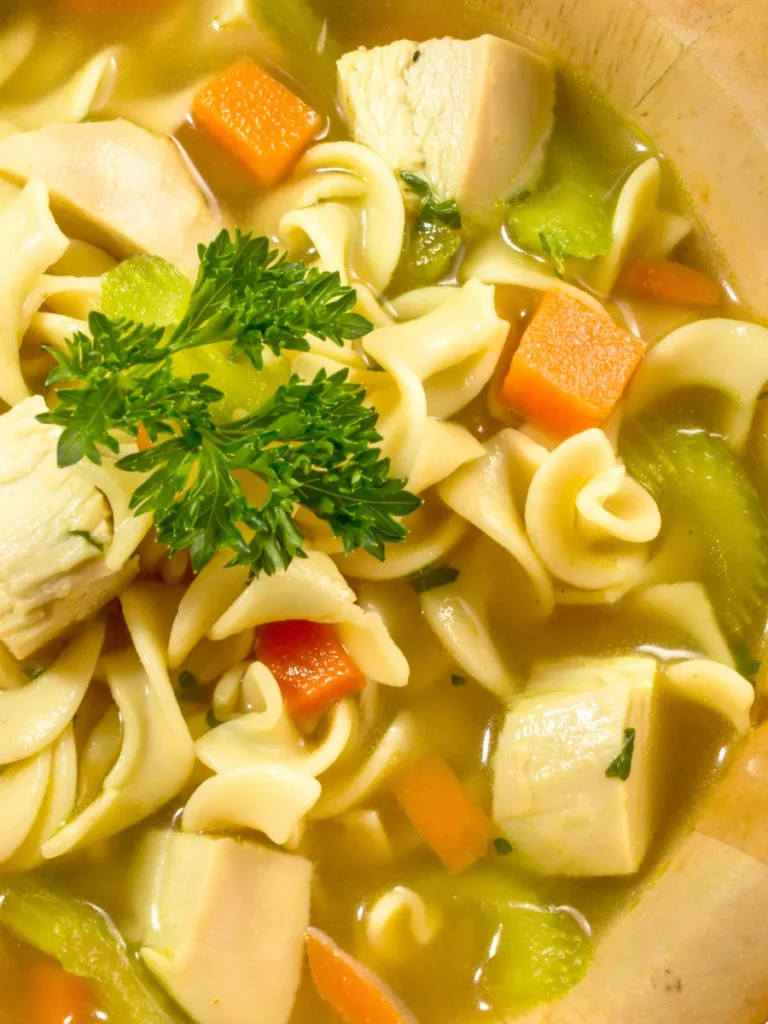 Chicken Noodle Soup